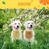 PAWCHIE Cute Dog Bandana 9 Pack Cooling Summer Style for Pet Puppy Boys & Girls
