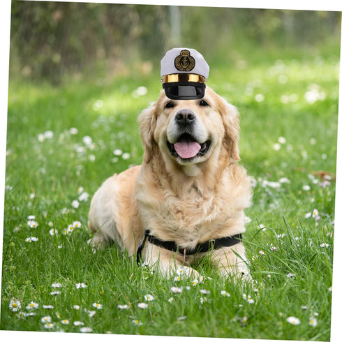 BESTOYARD Pet Headpiece Kitten Accessories, Dog Cap, Sun Hat, Cosplay Accessories for Halloween Costumes
