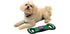 Pets First NCAA Football Field Dog Toy, Illinois Fighting Illini, Tough & Durable, 1 Count for Tug, Toss, Fetch