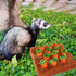 Chinchilla (12Carrot) Ferret Foraging Toys Novelty Carrot Snuffle Mat Interactive Pet Treat Enrichment Toys for Small