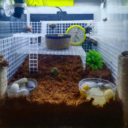 Generic Hermit Crab Accessories Hermit Crab Climbing Toys Reptile Habitat Grid Cuttable Plastic Net Hermit Crab