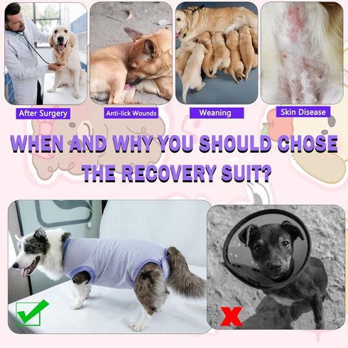 Dog Surgery Recovery Suit, Spay Neuter Onesie for Male Female Dogs, Cone Alternative, Purple, Medium