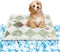 PetTrip Pet Cooling Mat & Sleeping Pad, Self Cooling Non-Toxic Gel Pad for Dogs & Cats, Long-Lasting Coolness - 13.78"