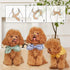 4PCS Spring Dog Bandanas, Cute Soft Cotton Puppy Scarfs, Washable Daily Handkerchief for Small Medium Large Pets