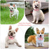 Rhinestone Bowtie Dog Collar for Girls Boys, Cute Dazzling Soft Suede Leather Bling Collars for Small Medium Large Dogs