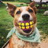 Squeaky Dog Balls Toys - Rubber Fetch Gifts for Large Medium Dogs (Pink Yellow)