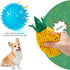 3pc 2 1 No Stuffing Squeaky Dog Toys in Interactive Plush Dog Toy Pineapple Shaped Rip&Reveal Toy for Boredom- Perfect