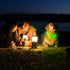 HIGO Light Up Dog Collars, USB Rechargeable LED Dog Collar, High Visibility Puppy Collar for Night Walking (Green)