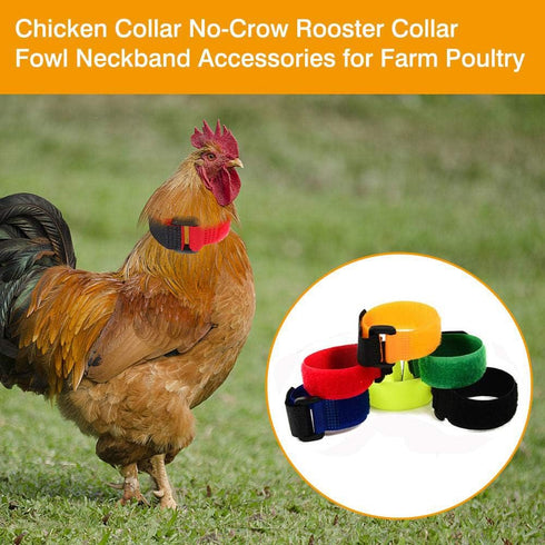 Upgrade Anti Crow Rooster Collar - Chicken Neckband Noise Free, No Crow Collar, Anti Noise Nylon Neck Belt, 6 Pieces