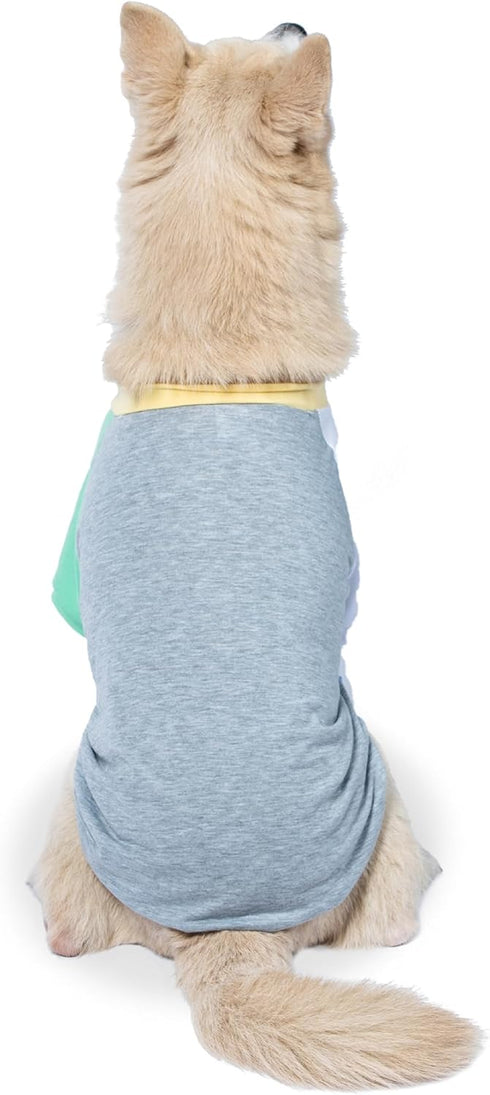 The Dodo Dog Bandana & Colorblock Tee Pet Apparel Set, Extra Small Size; Grey, Green & White Dog Tshirt, Matching Pet