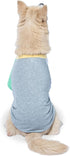 The Dodo Dog Bandana & Colorblock Tee Pet Apparel Set, Extra Small Size; Grey, Green & White Dog Tshirt, Matching Pet