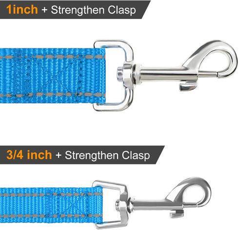 Joytale Double-Sided Reflective Dog Leash, 6 FT/5 FT/4 FT, Padded Handle for Medium & Large Dogs, Sky Blue