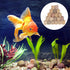 Aquatic Water Plant Fixed Ring, Aquarium Plant Pot Fixed Holder, Fish Tank Plant Weights -Floating Accessories for Aquarium Landscape Ceramic Plant, 20 pcs