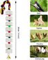 2 Pack Mineral Block Chicken Chewing Toy, KABASI Bird Beak Grinding Calcium Stone with Bells, Chicken Coop Accessories