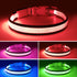LED Dog Collar, USB Rechargeable Light Up Safety Collar for Small, Medium, Large Dogs (Large, Ruby Red)
