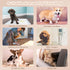 10PCS Ambreview Dog Diapers Female, Disposable Diapers for Female Dog with Stretchy Waist, Pull Up Puppy Wraps