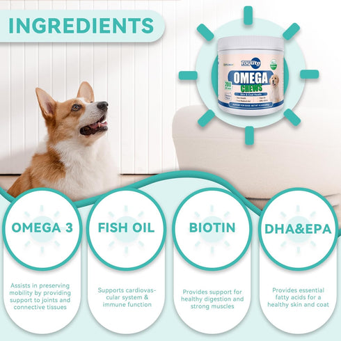 Omega-3 Multivitamin Skin and Coat Supplement for Dogs, Omega 3 Fish Oil Supplement, Supports Shedding and Immunity