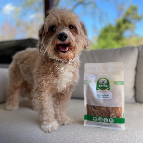 Lucky Premium Treats Chicken Jerky Bits and Strips 7 oz – All Natural Lean Dehydrated Chicken Breast Treats