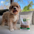 Lucky Premium Treats Chicken Jerky Bits and Strips 7 oz – All Natural Lean Dehydrated Chicken Breast Treats