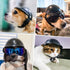 Namsan Small Dog Helmet - Adjustable Dog Motorcycle Helmet, DIY Cat Hat, Dog Crash Helmet for Puppy Head Protection,