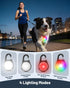 Coolice 2 Packs 4 Dog Lights for Night Walking, LED Collar Light, Modes Light for Walking at Night, Waterproof Dogs
