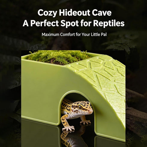 Generic Animal Habitat Dish - Purpose Reptile Bowl | Turtle and Small Creature Ornament with Integrated Shelter Perfect