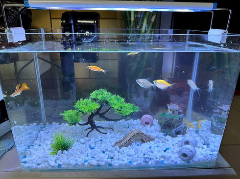 Small Japanese Fish Tank Decorations Set, Suitable for Aquariums up to 5 Gallon, Includes Plastic Plants
