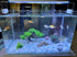 Small Japanese Fish Tank Decorations Set, Suitable for Aquariums up to 5 Gallon, Includes Plastic Plants