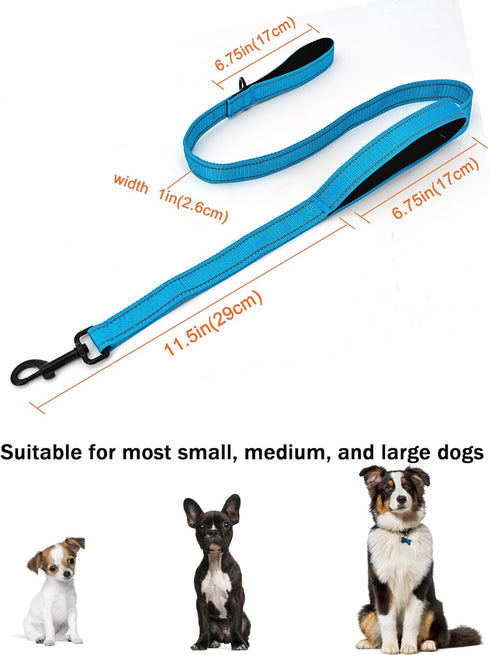4FT Blue Strong Dog Leash with 2 Padded Handles, Traffic Handle for Extra Control (Blue, 4FT)
