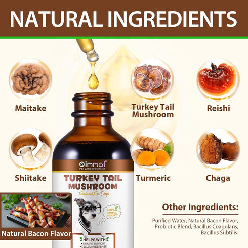 QwsYaay Immune, 60ml Turkey Tail Mushroom for Dogs, Mushroom Blend, Turmeric & Probiotic for Digestive & Joint Support