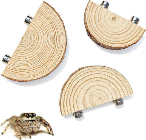 3 Pack Jumping Spider Enclosure Climbing Platforms, Magnetic Jumping Spider Wooden Ledge