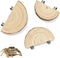 3 Pack Jumping Spider Enclosure Climbing Platforms, Magnetic Jumping Spider Wooden Ledge