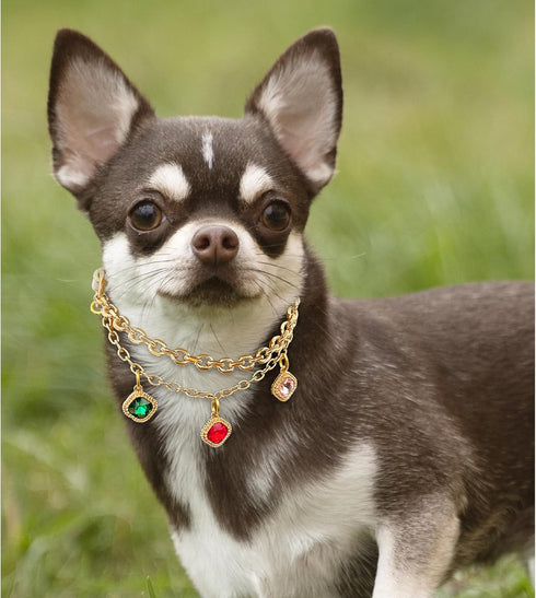 KUDES Pet Collar for Small Dogs and Cats, Adjustable PU Leather with Rhinestone Pendant, Choker Necklace