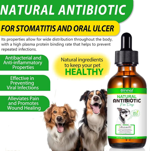 Natural Antibiotics for Dogs - Pet Antibiotic - Healing Aid and Skin Repair for Wounds, Sores, and Abrasions, Provides Itch Relief for Irritated Skin - Duck Flavor