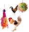 Vehomy Chicken Toys for Hen - 2pcs Natural Colorful Loofah Shredder Toys, Handmade Bird Chewing Foraging Hanging Toys