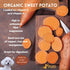 Dog Chits Turkey and Sweet Potato Soft Chew for Dogs, Organic Treats, Made in USA, 4 oz.