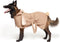 Barkbox Dog Bathrobe Fast Drying with Hook and Loop Closure & Wrap