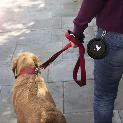Collapsible Dog Bowls for Travel, 2-Pack Portable Water Bowl for Dogs Cats with 2 Carabiners