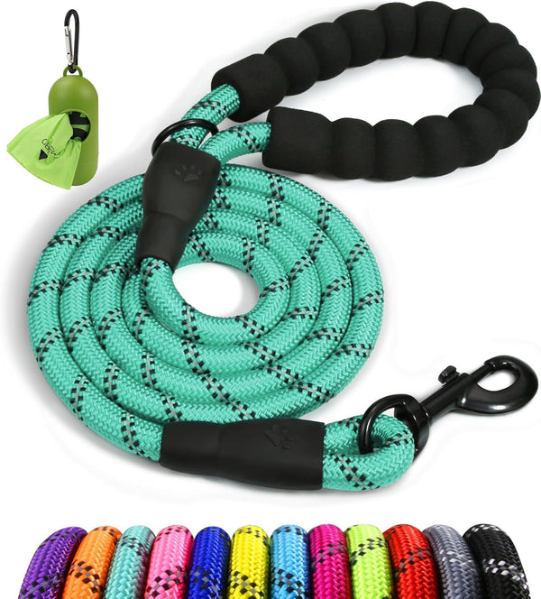 Taglory 6 FT Rope Dog Leash with Comfortable Padded Handle, Highly Reflective Threads for Small Dogs