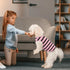 Queenmore Dogs Cats Cotton Vest, Striped T-Shirt, Soft Cool Sleeveless Vests for Small Medium and Large Dogs & Cats