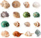16PCS Medium Small Hermit Crab Shells, Sea Conch Size 1.1" - 2.4" for Natural Hermit Crab Supplies