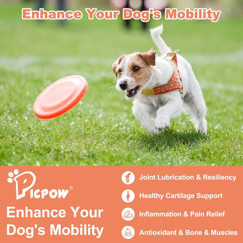120 Chewable Bone Health for Dogs & Cats Promotes Tissue Repair, Supports Bones& Muscles, Digestive, Skin, Coat