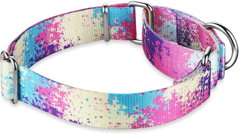 Colourful Oil Painting Pattern Martingale Dog Collars - No Pull Silky Soft Pet Collar for Medium and Large Dogs