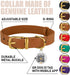 BRONZEDOG Leather Dog Collar with Metal Buckle Durable Basic Pet Collars for Small Medium Large Dogs (14-17 Inch (Pack of 1), Light Brown & Gold Buckle)