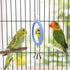 Hypeety Pet Bird Mirror with Bell, Interactive Parrot Toy for Cockatiel, Parakeets, Canaries, Budgie (Blue)