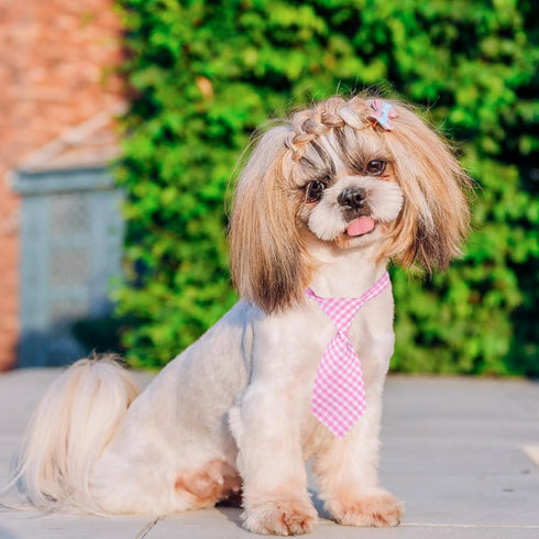 Segarty 30 PCS Dog Ties and Bows, Plaid Pet Neck Ties Grooming Accessories for Small Medium Dogs, Birthday Photography