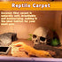 Hamiledyi Reptile Carpet Coconut Fiber Substrate, 118x15.7in Natural Coco Fiber Bedding for Lizard Cage