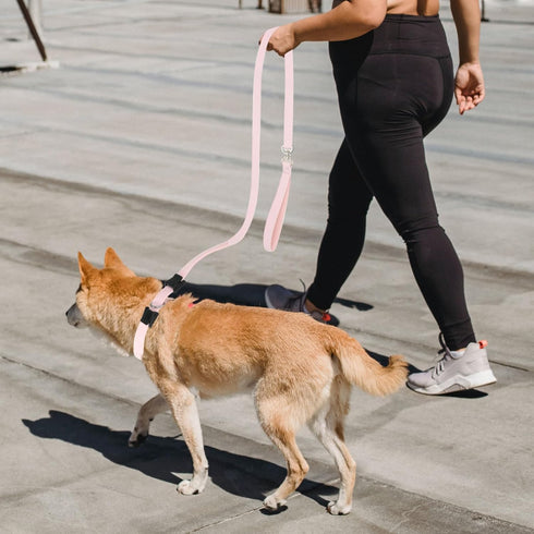 YUDOTE Slip Lead Dog Leash, Soft Corduroy 6 FT Training Leash for Medium Large Dogs, No Pull with Padded Handle - Light