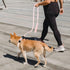 YUDOTE Slip Lead Dog Leash, Soft Corduroy 6 FT Training Leash for Medium Large Dogs, No Pull with Padded Handle - Light