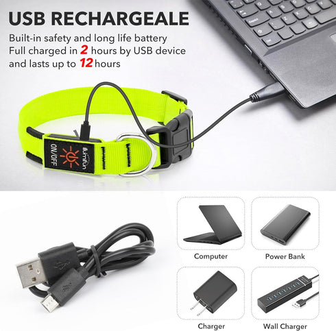 Illumifun LED Collar for Small Dogs, USB Rechargeable Light Up Dog Collar, Green, Small